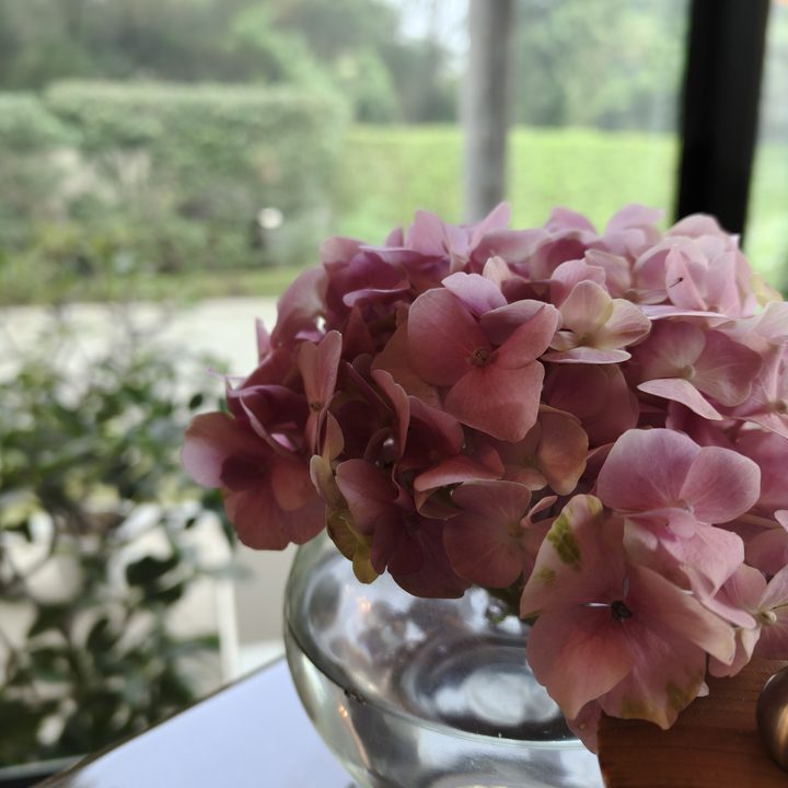 A photo of pink flowers on a table, taken with the Oppo Find X8.