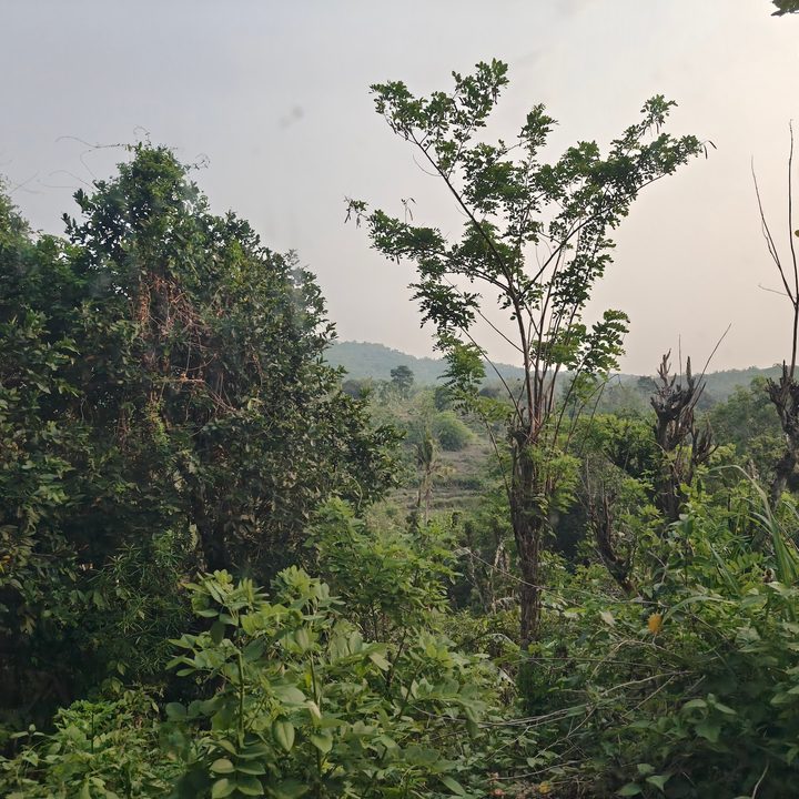 Landscape scene captured from a moving car on the Oppo Find X8 Pro