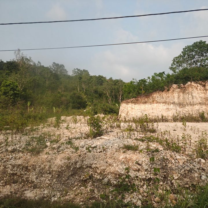 Landscape scene captured from a moving car on the Oppo Find X8 Pro
