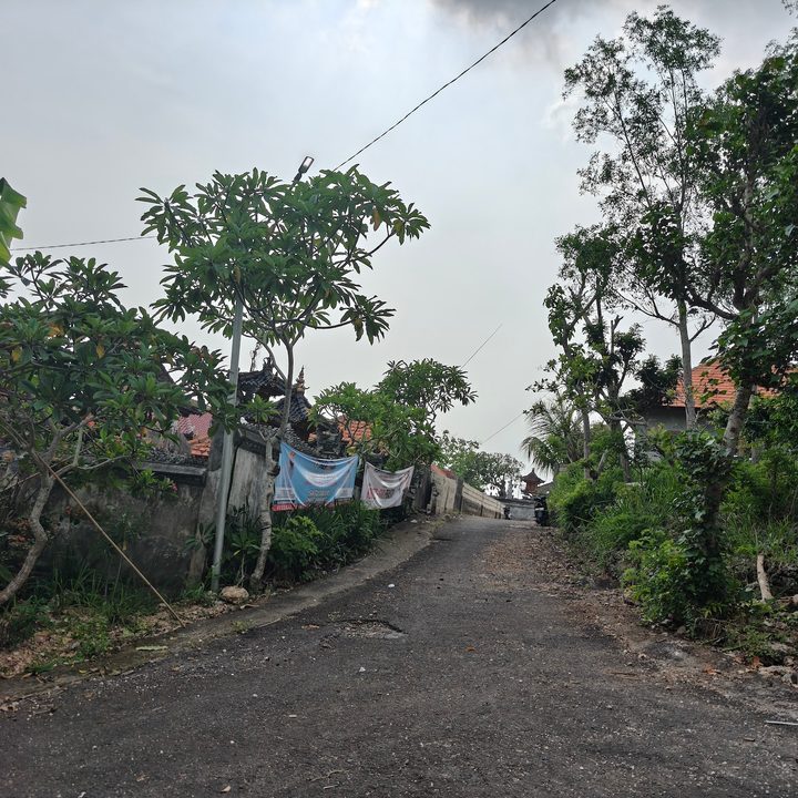 Landscape scene captured from a moving car on the Oppo Find X8 Pro