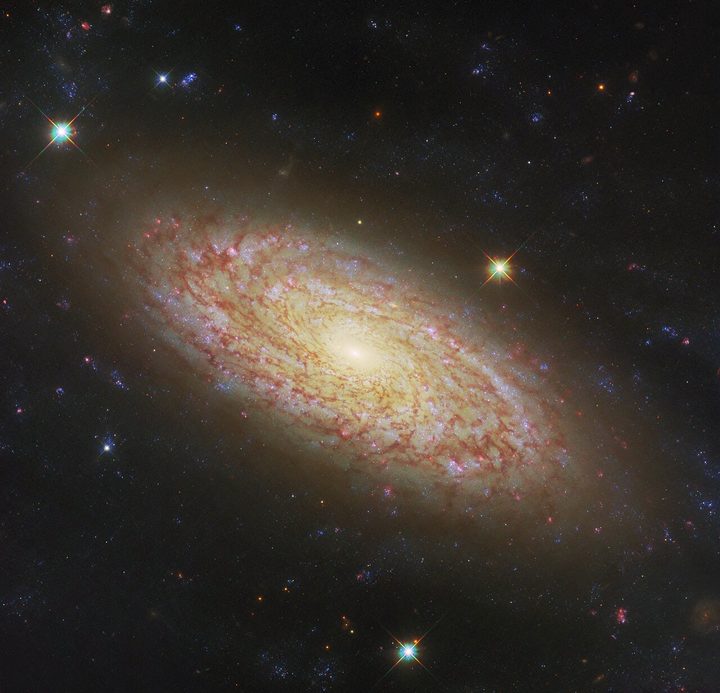 Featured in this new NASA/ESA Hubble Space Telescope Picture of the Week is the spiral galaxy NGC 2090, located in the constellation Columba.