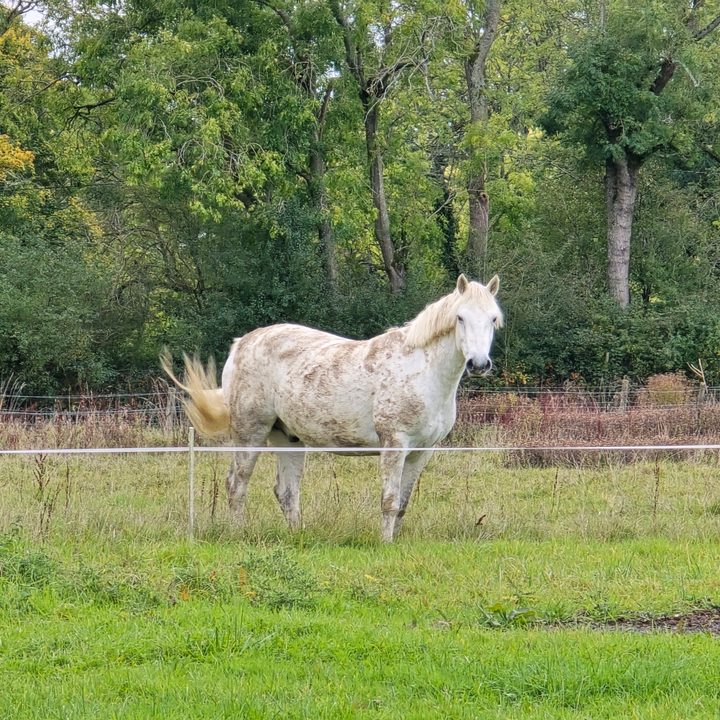 A photo taken with the Samsung Galaxy S24 Ultra's 10x zoom.