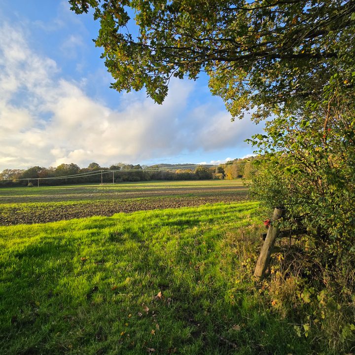 A photo taken with the Samsung Galaxy S24 Ultra's wide-angle camera.