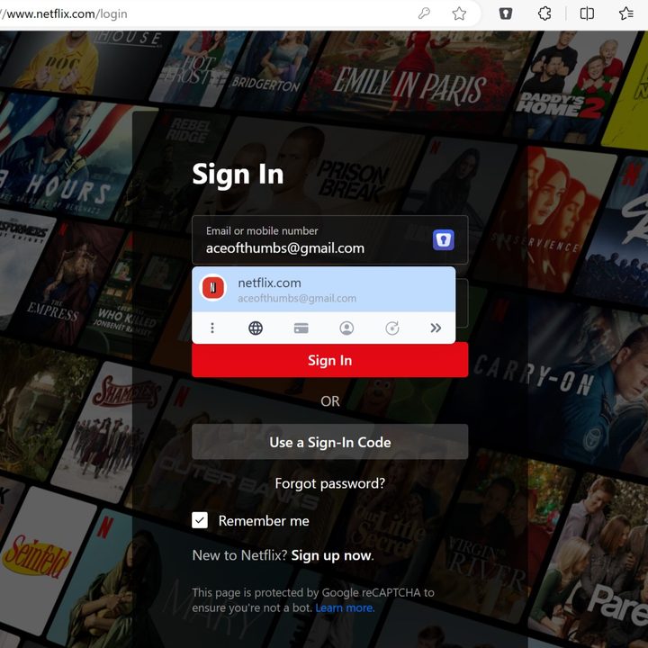 Enpass auto-filled my Netflix login after I selected the password box.