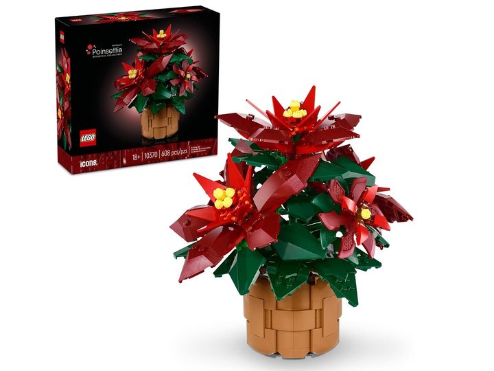 The LEGO Icons Poinsettia Building Set and its box.