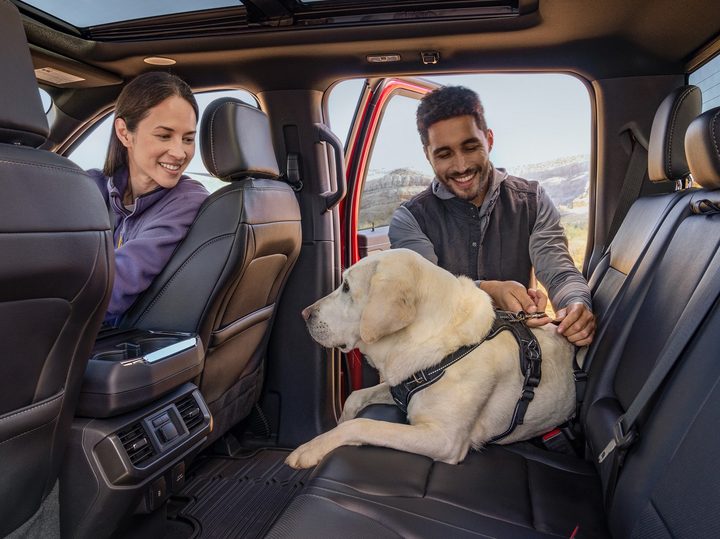 Pet friendly Ford accessories make great holiday gifts