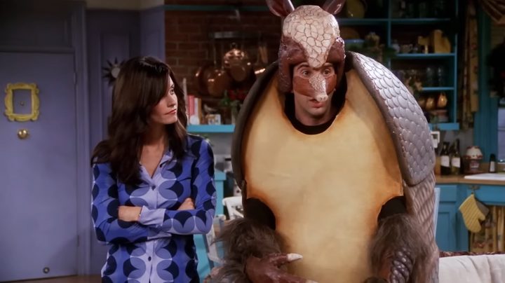 Monica and Ross dressed like an armadillo in "Friends."