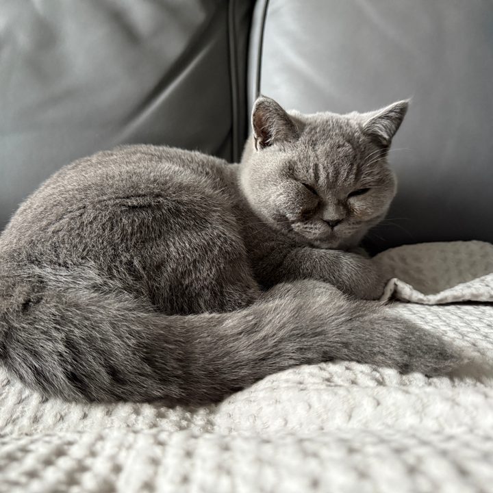 A photo taken with the Apple iPhone 16 Pro Max.