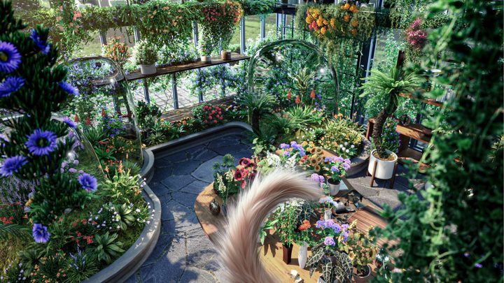 A cat's tail sticks up in front of a greenhouse in Catly.