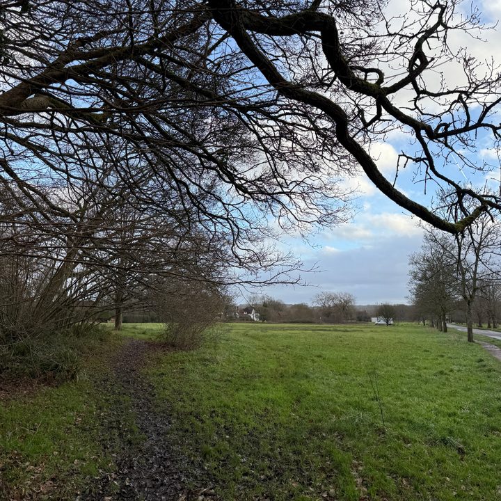 A photo taken with the Apple iPhone 16 Pro Max.
