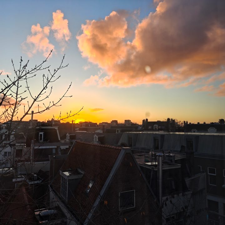 A photo taken with the Oppo Find X8 Pro's main camera.
