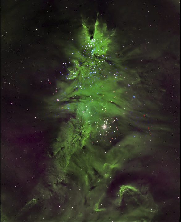 NGC 2264, the “Christmas Tree Cluster”
