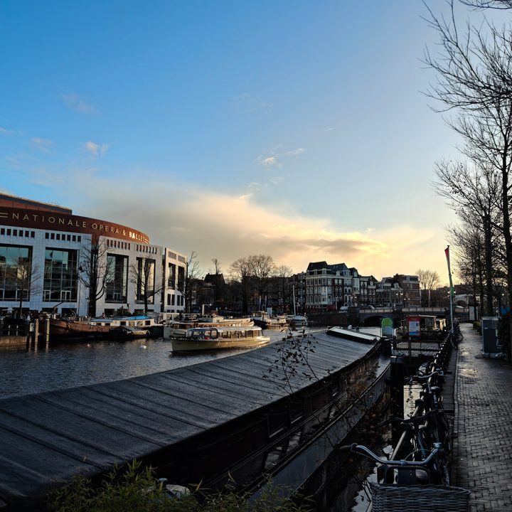 A photo taken with the Oppo Find X8 Pro's main camera.