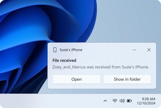 Phone Link installation