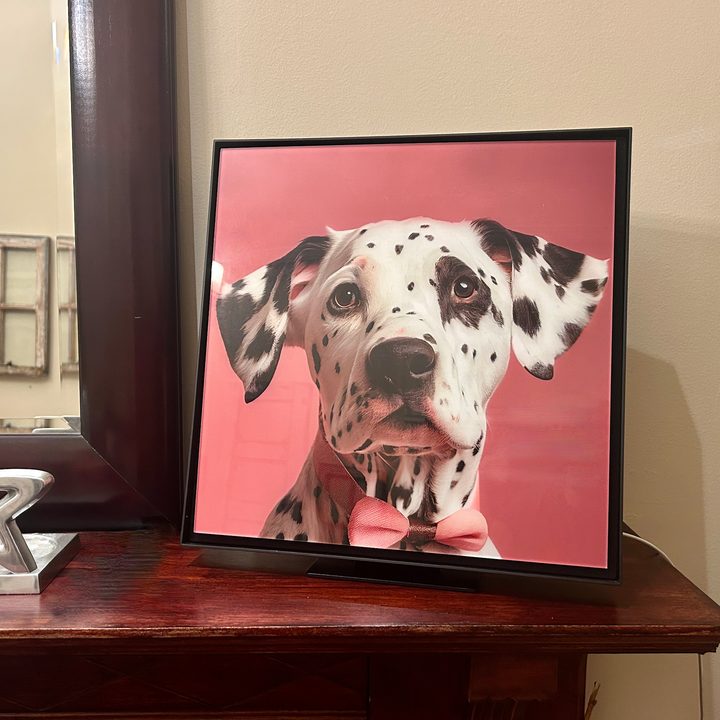 Samsung Music Frame with art panel.