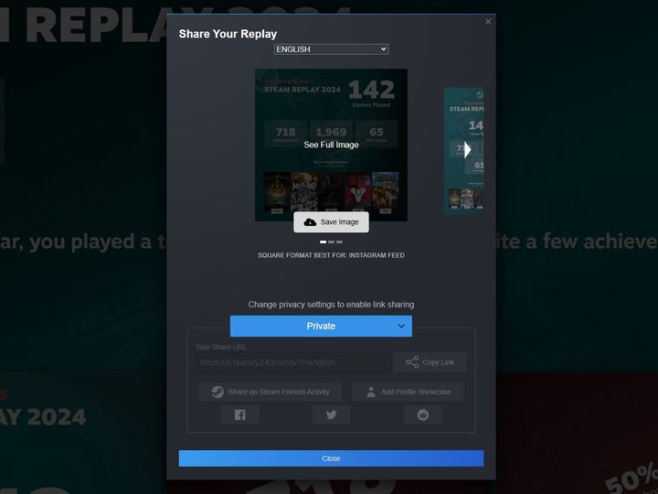 Sharing settings for Steam Replay 2024.