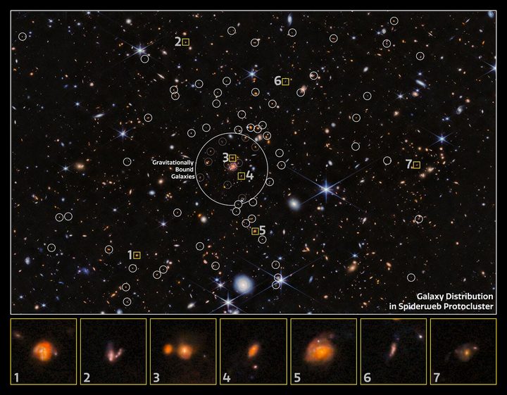 This annotated image shows the galaxy distribution in the Spiderweb protocluster as seen by Webb’s NIRCam (Near-InfraRed Camera). The galaxies are annotated by white circles, and the collection of gravitationally-bound galaxies is identified in the centre of the image. A selection of these galaxies are featured as individual close-ups at the bottom of the image.