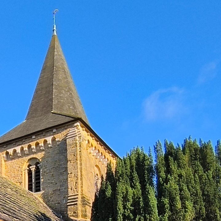A cropped wide-angle photo taken by the Redmi 13 Pro Plus.