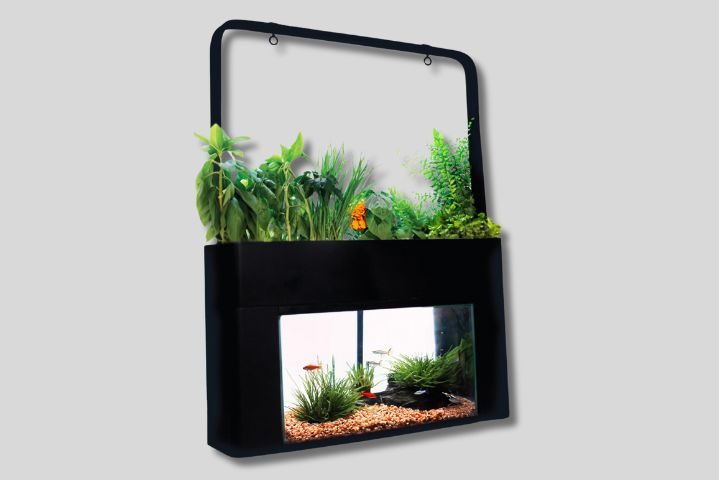 black innovative garden and aquarium