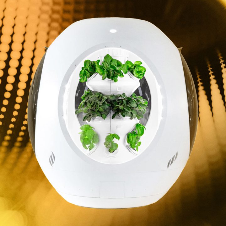 Plantaform Indoor Smart Garden