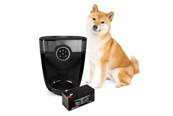 robot vacuum with a dog next to it