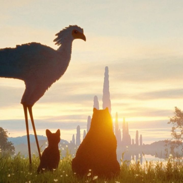 A big bird, a cat, and a capybara look at the sunset in a still from the movie Flow.