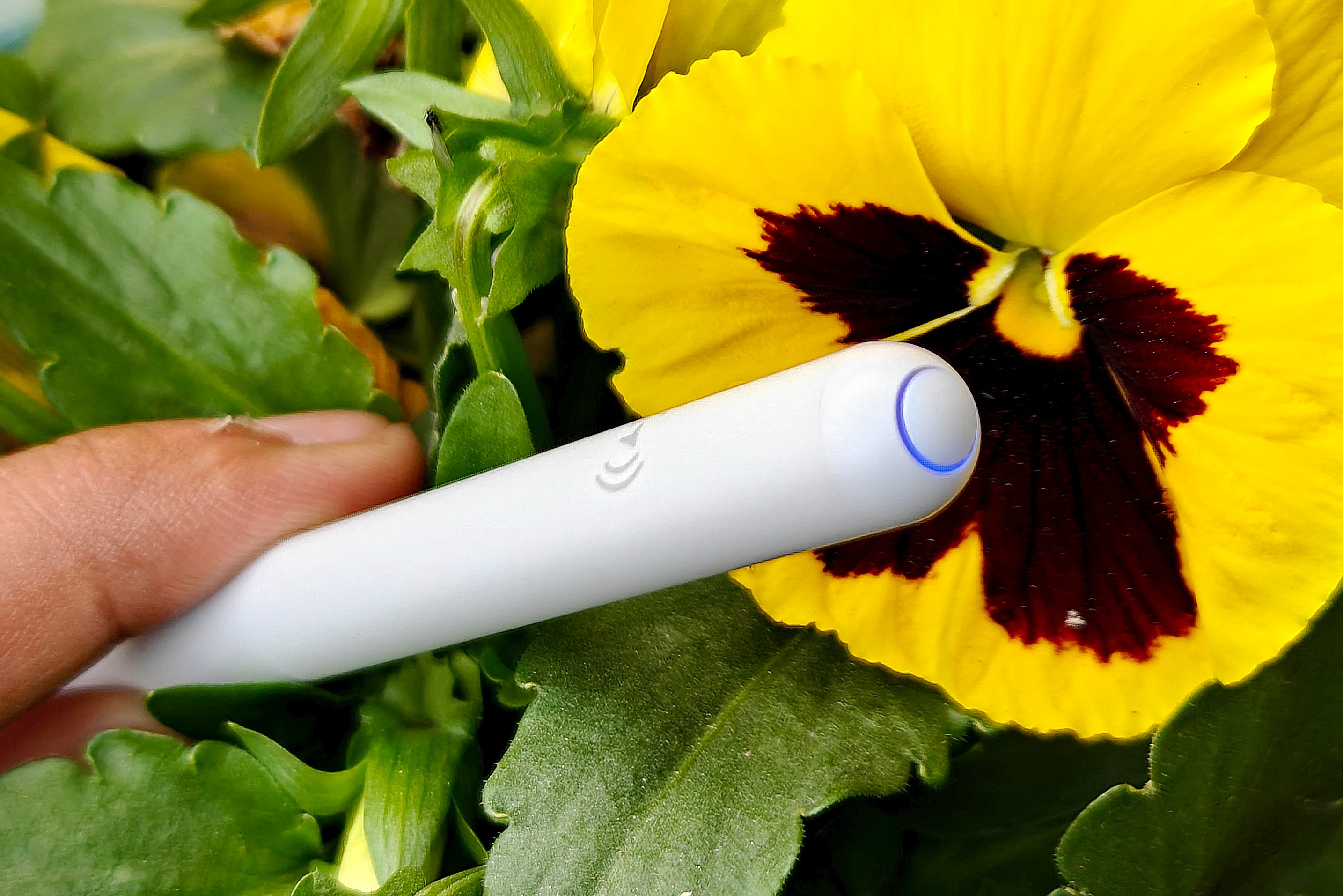 Multi-function button and blue halo light on the ESR Geo Digital Pencil.