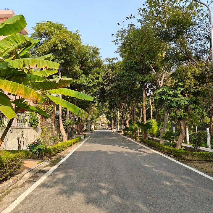 oneplus 13r vs 12r camera review wide angle 2
