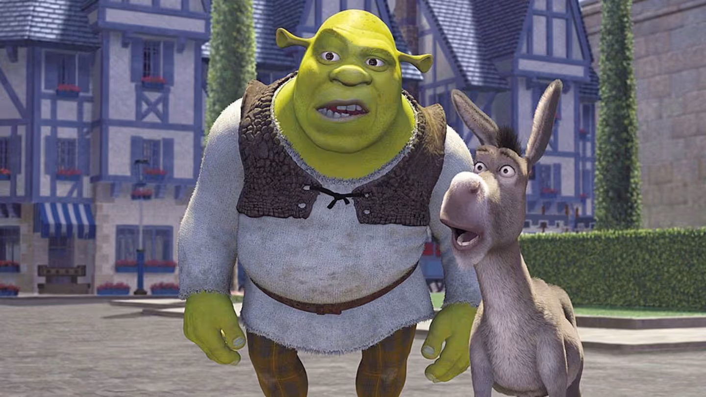 Shrek and Donkey looking confused in the movie Shrek.