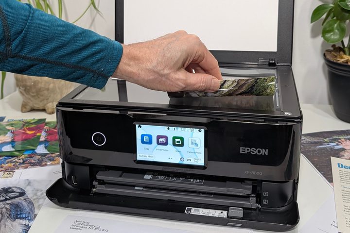 The Expression Photo XP-8800 supports up to 1200 dpi scanning from a computer.
