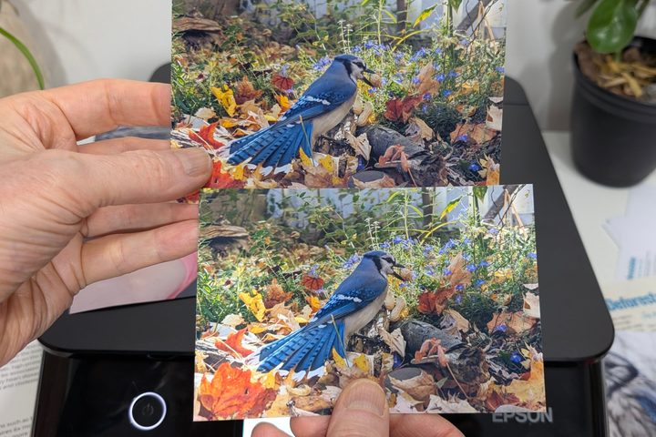The Expression Photo XP-8800's draft mode is faster and nearly identical to best quality.