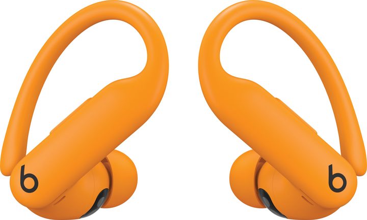 Leaked pics of the Beats Powerbeats Pro 2.
