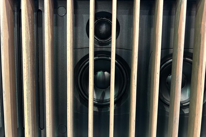 Dynaudio Symphony Opus One.