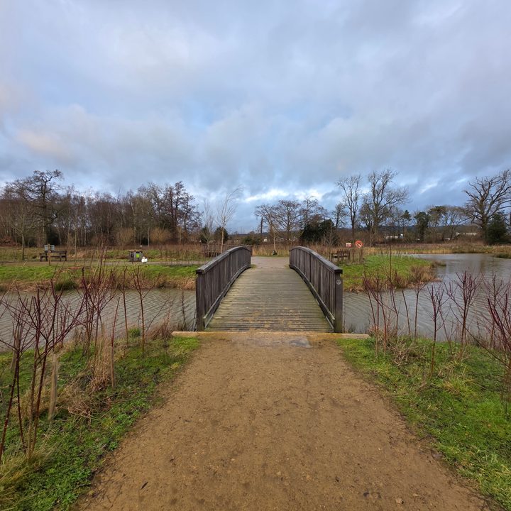 A photo taken with the Samsung Galaxy S25 Ultra's wide-angle camera.