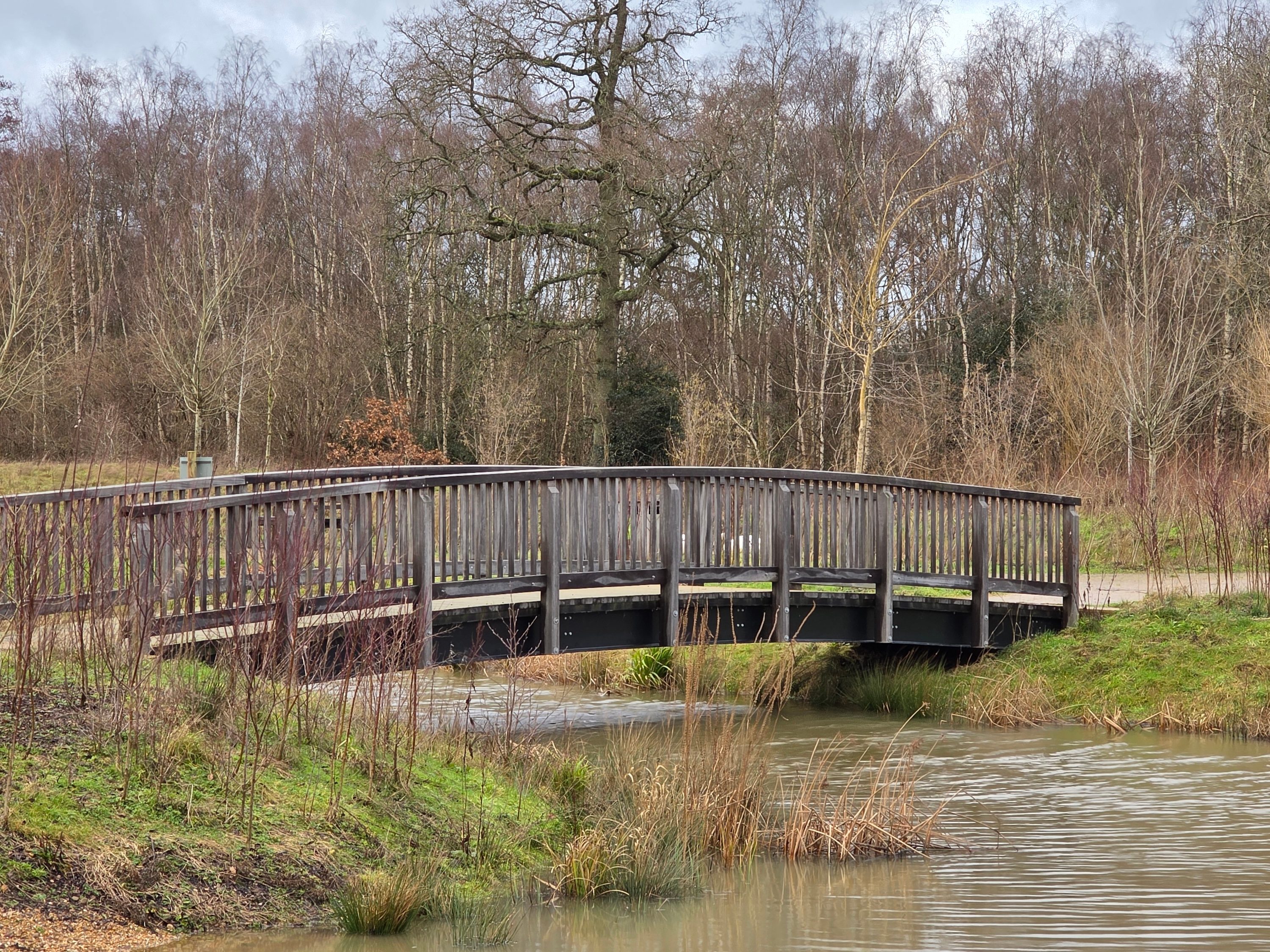 theres a clear winner in our galaxy s25 ultra vs iphone 16 pro max camera test bridge 649f85