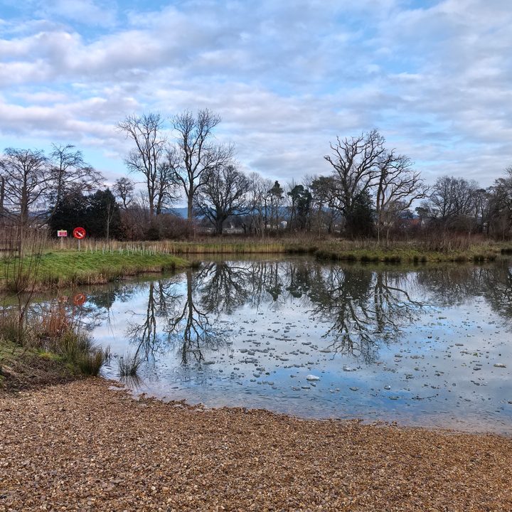 A photo taken with the Huawei Nova 13 Pro.