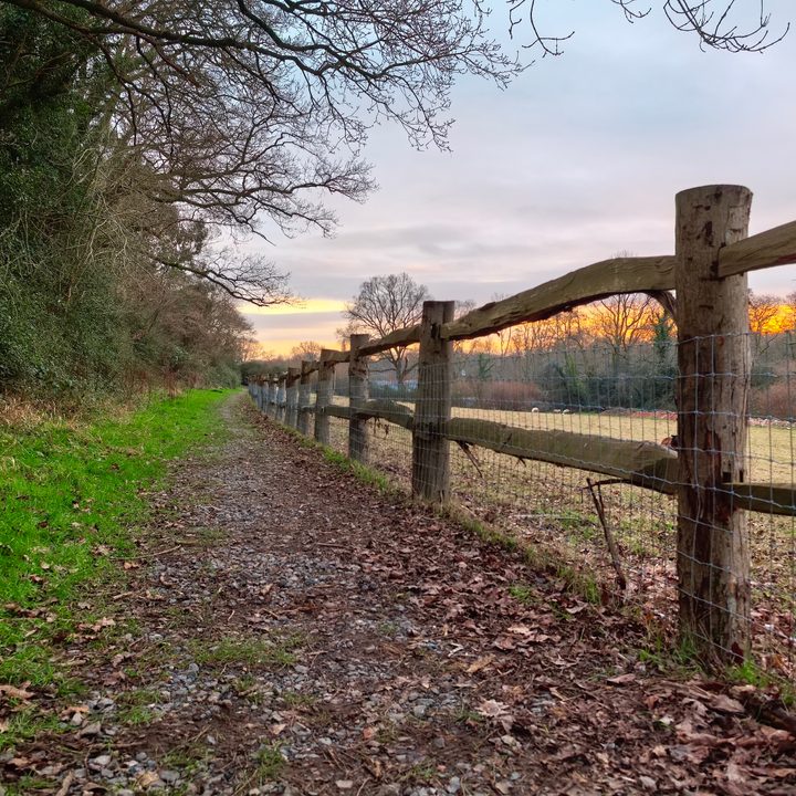 A photo taken with the Huawei Nova 13 Pro.