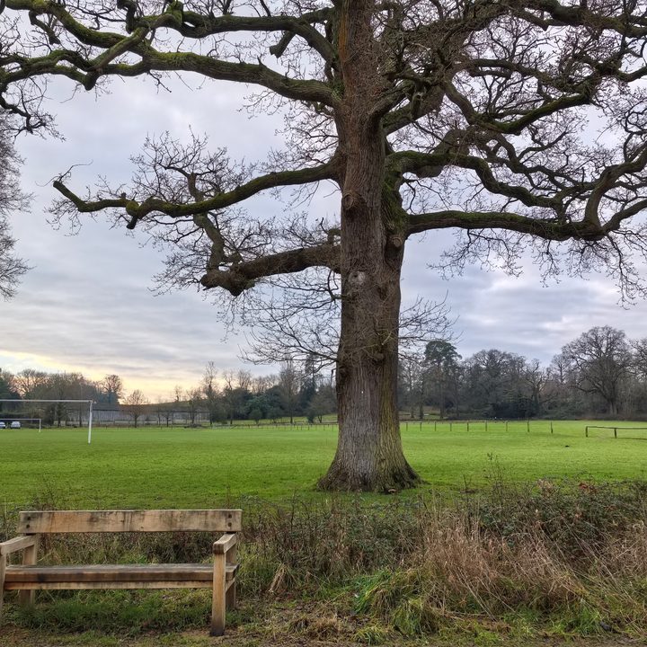 A photo taken with the Huawei Nova 13 Pro.