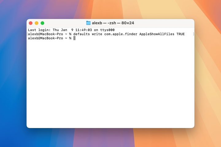 The Mac Terminal app running in macOS Sequoia.