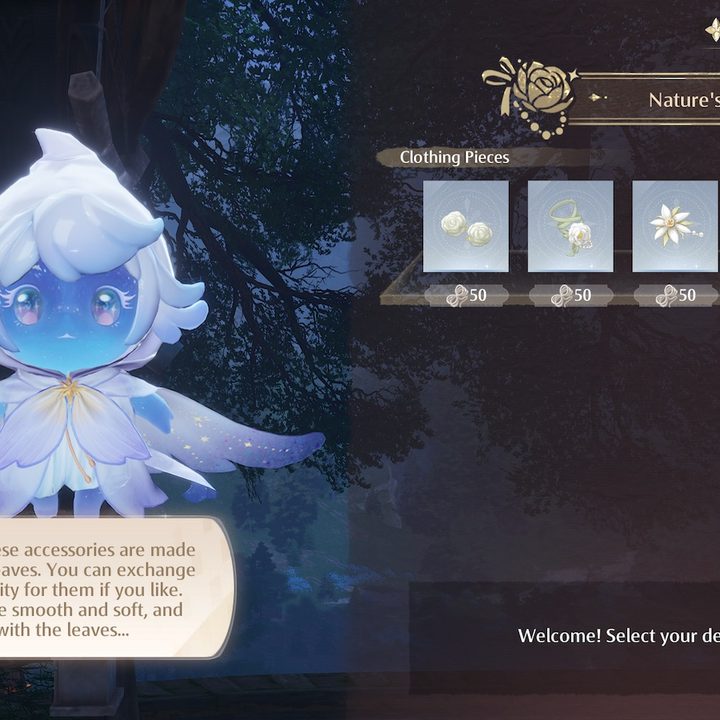 Nature's Leafcraft Infinity Nikki shop.