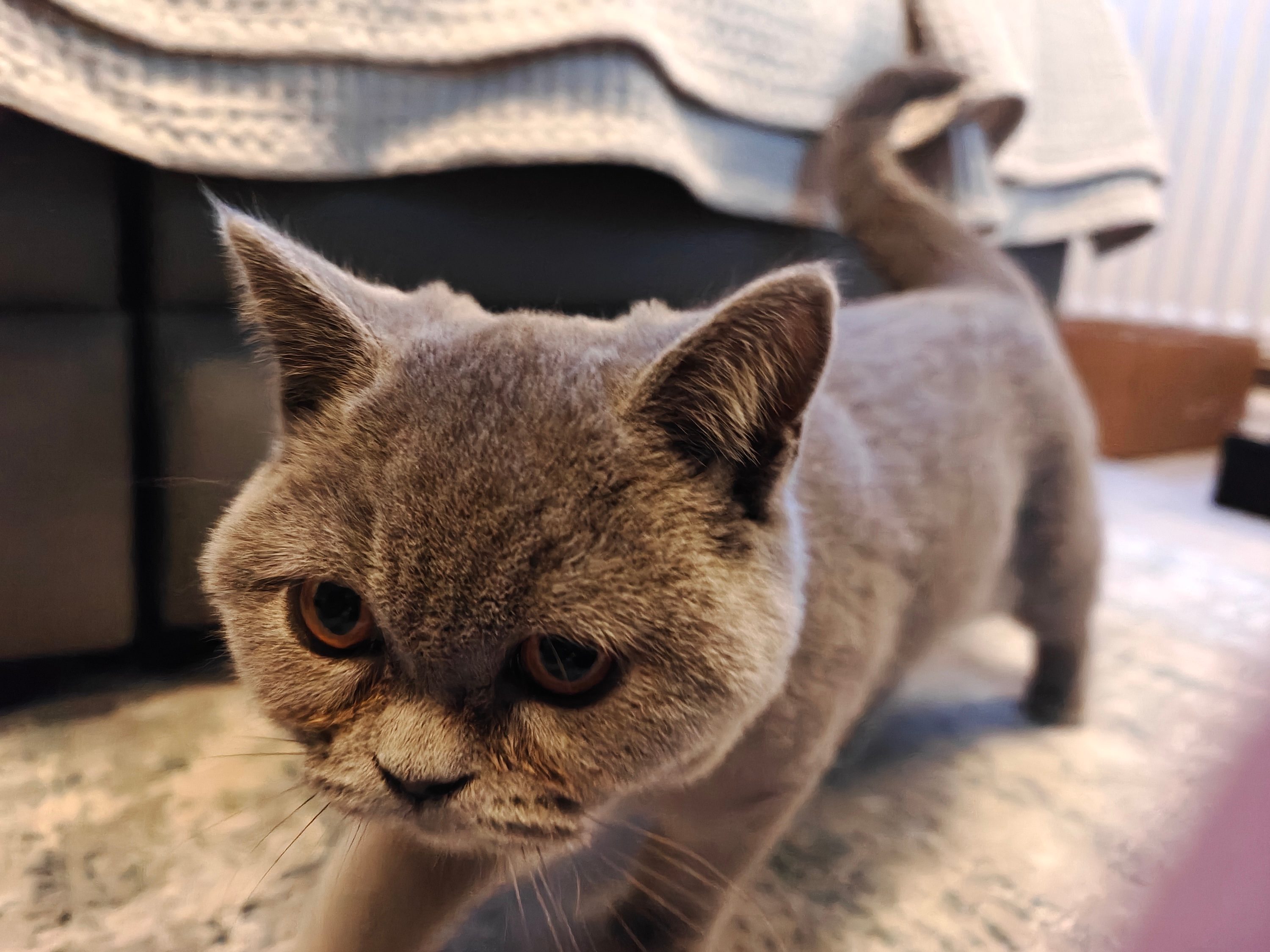 A photo taken with the OnePlus 13.