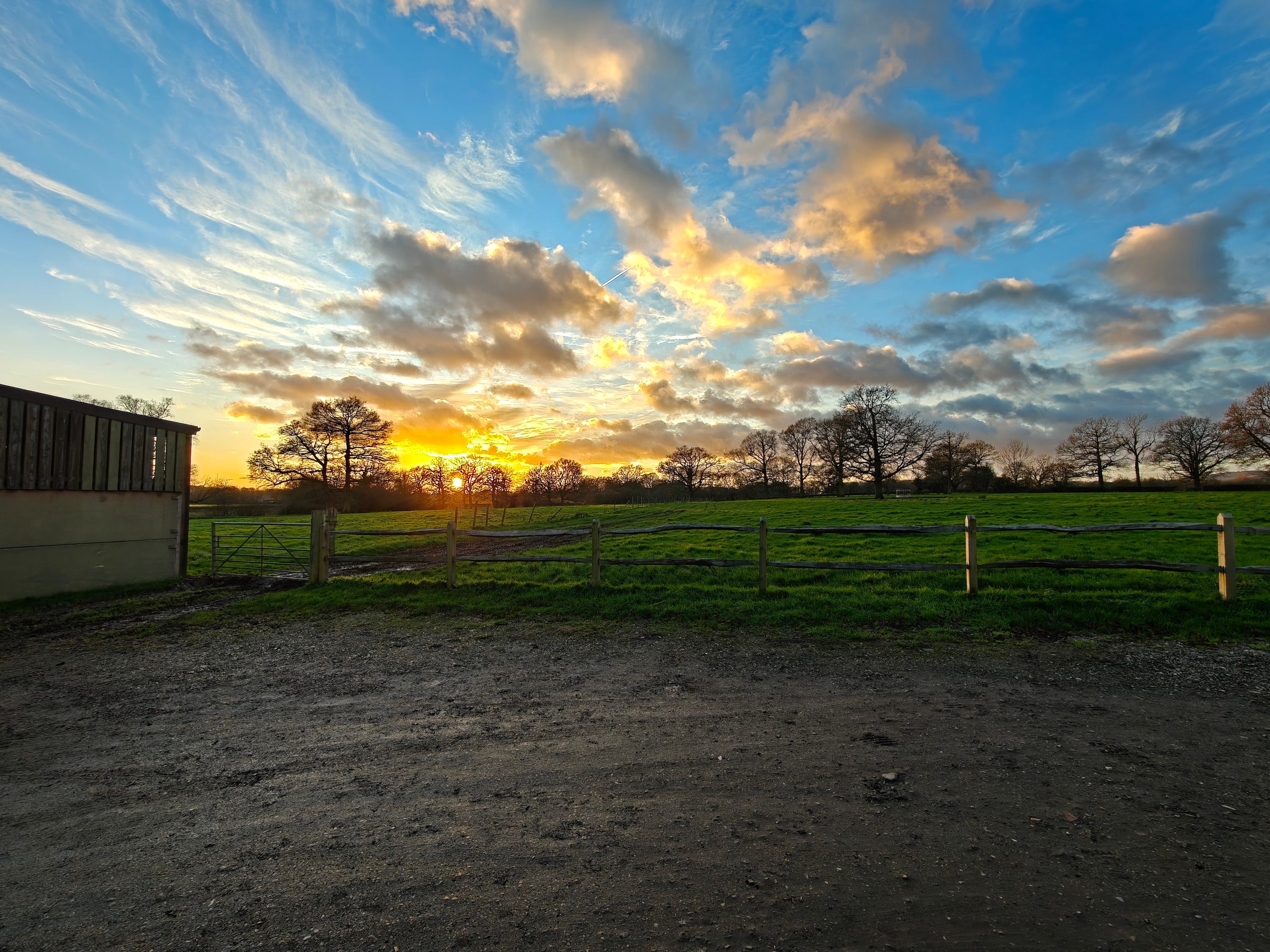 A photo taken with the OnePlus 13.