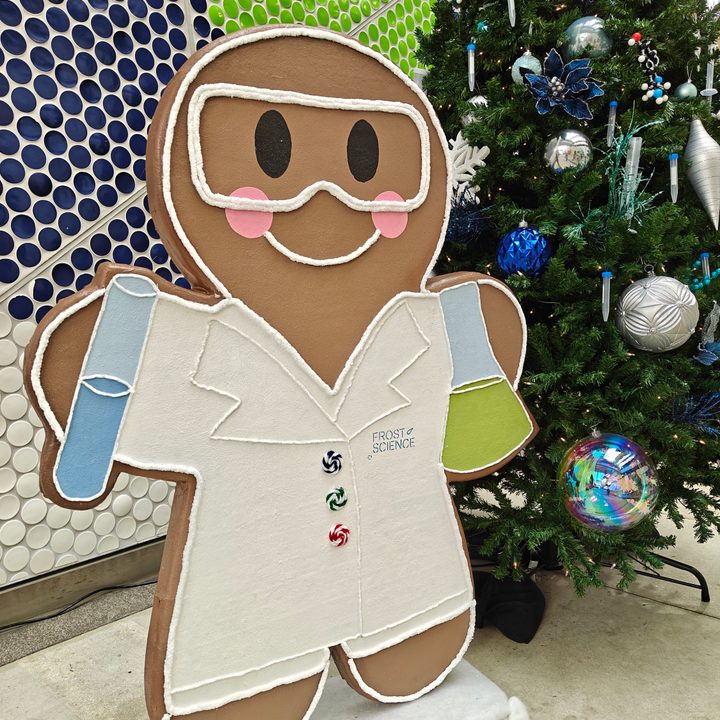 Photo of a gingerbread man sculpture, taken with the OnePlus 13R.