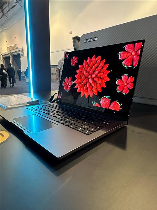 qdel ces 2025 tcl
