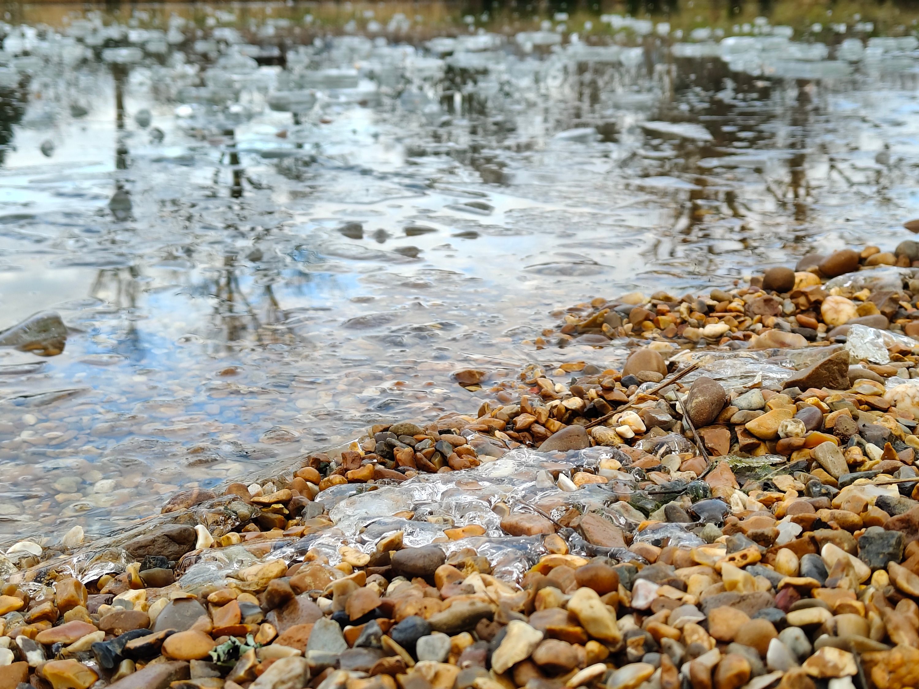 A photo taken with the Realme 14 Pro Plus's main camera.