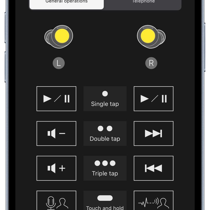 Technics Audio Connect app for iOS: controls customization.