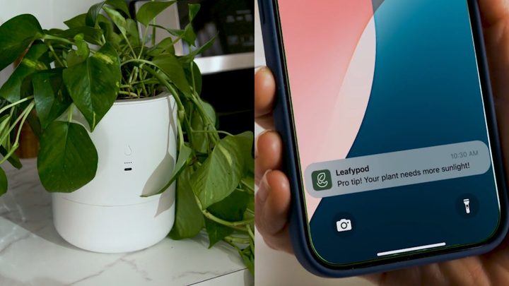 LeafyPod next to the mobile app.