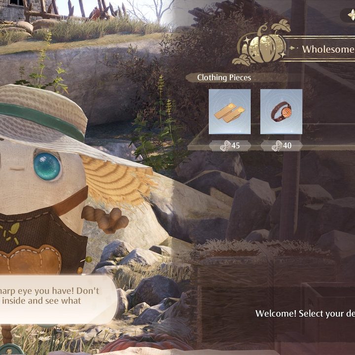Wholesome Squash Store Infinity Nikki shop.