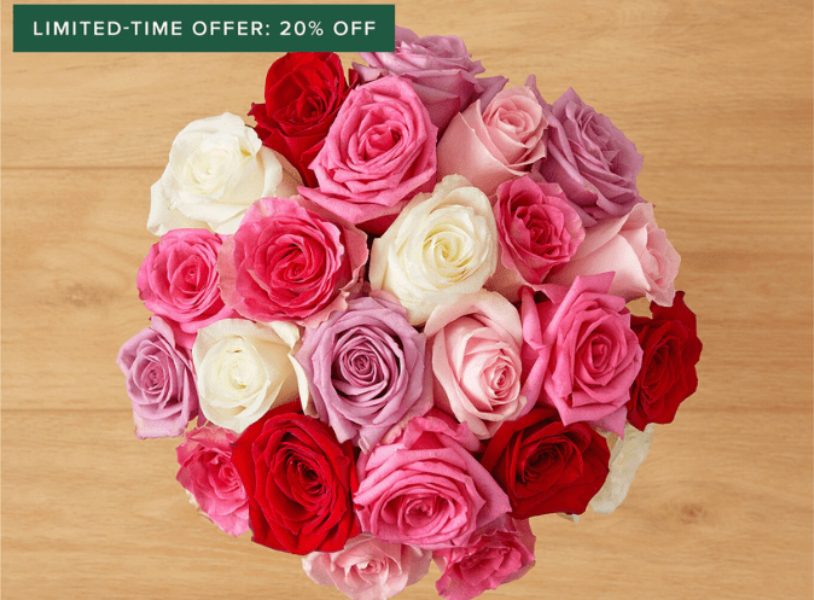 bouqet of roses