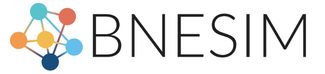 BNESIM Logo